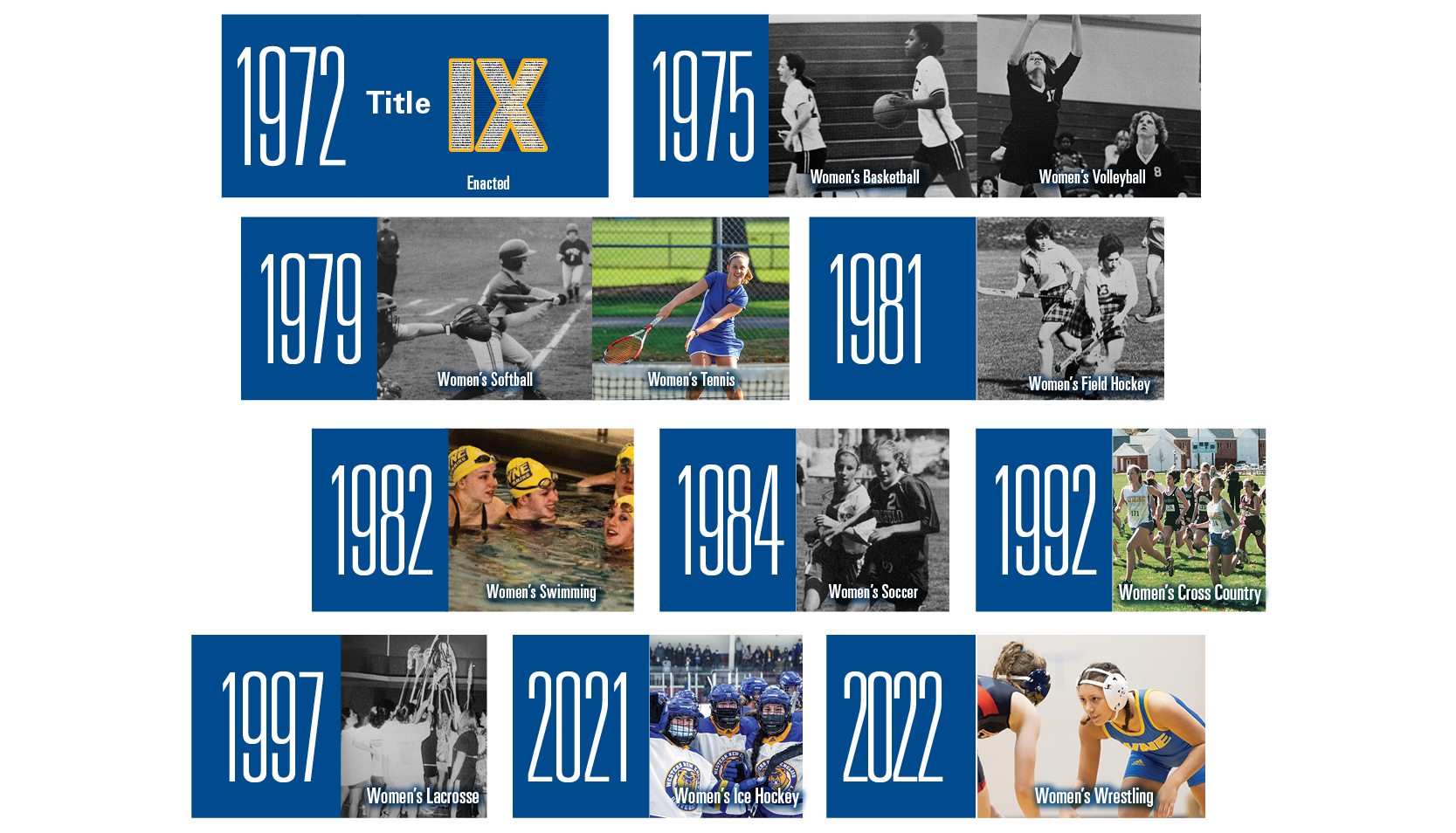 On Title IX's 50th anniversary: How it changed the landscape for