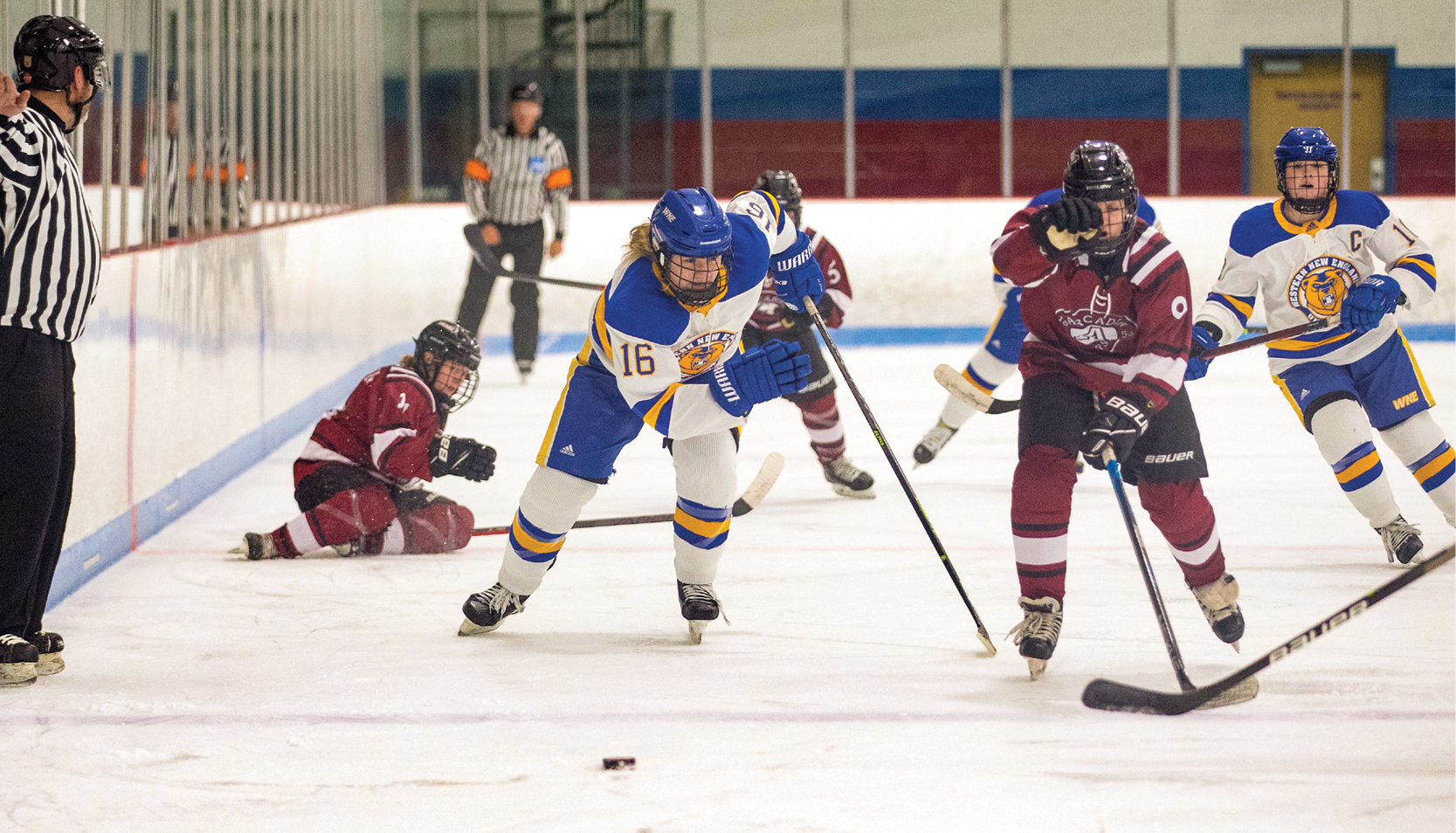 Women's ice hockey